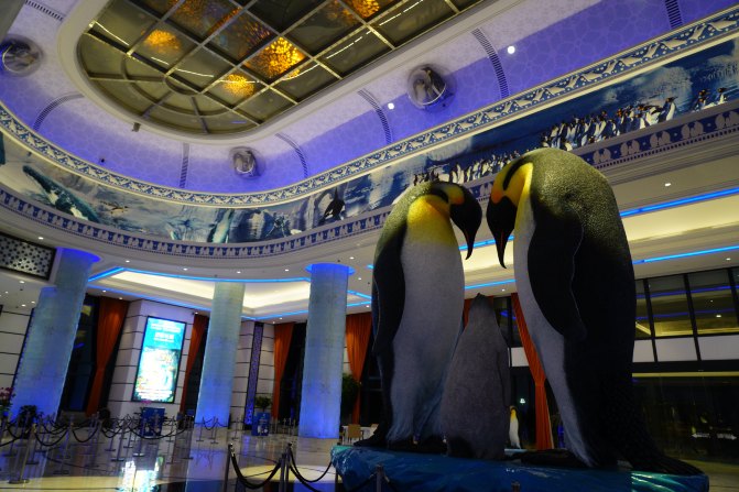 珠海长隆海洋王国2天1夜游玩攻略,最新珠海长隆海洋王国旅游攻略