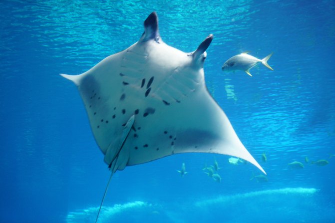 珠海长隆海洋王国2天1夜游玩攻略,最新珠海长隆海洋王国旅游攻略