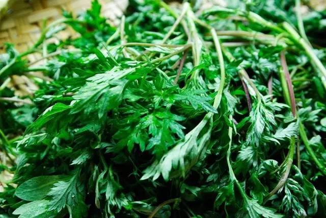 赶在清明之前，为自己做一只青团|一切时节皆与故土食物相关