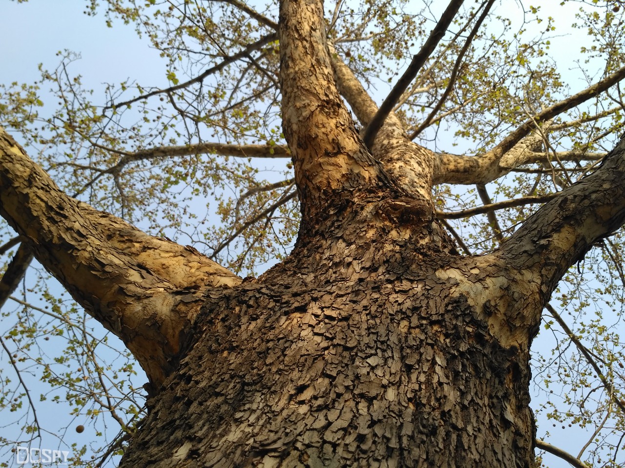 红米3高配版详细参数,红米3高配版报价