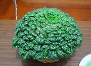 来常州旅游带什么特产,江苏常州旅游特产推荐