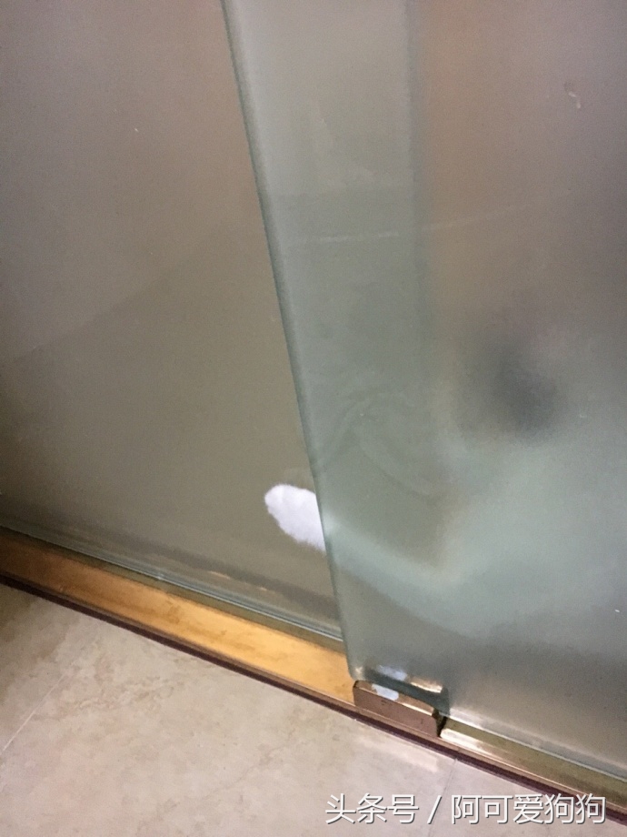 有一只会关心主人的喵星人可真好！