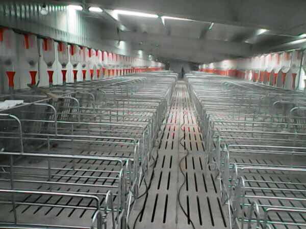 你以为你在外漂泊过得很好，其实你不知道老家的人有多少财产