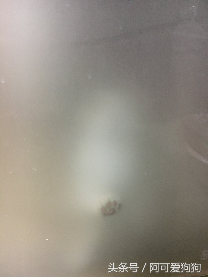 有一只会关心主人的喵星人可真好！