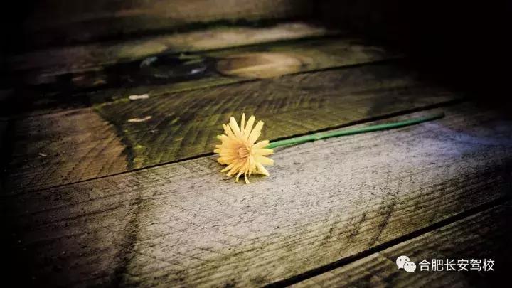 金秋十月，长安驾校等你来