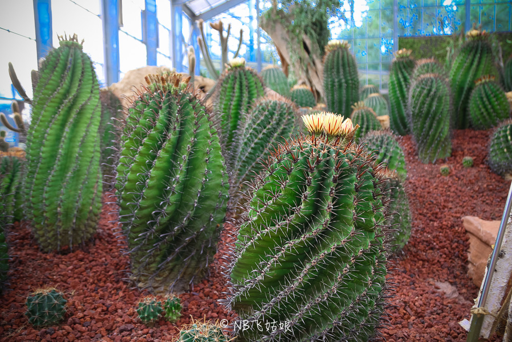 南通合适亲子游玩的园区,南通绿博园旁边游玩的地方