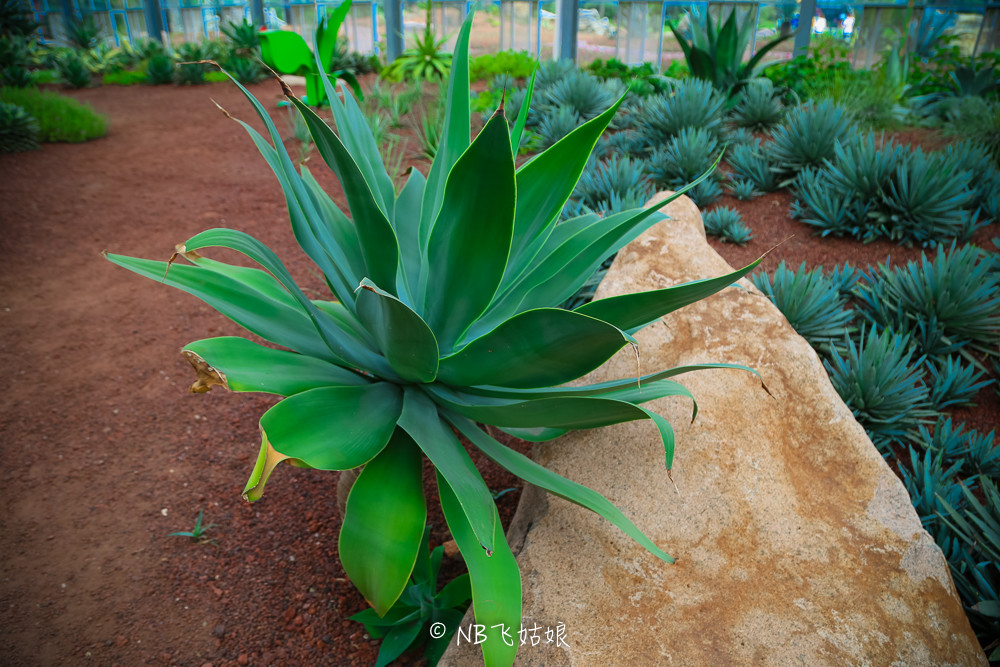 南通合适亲子游玩的园区,南通绿博园旁边游玩的地方