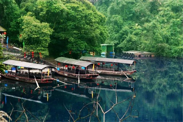 广东怀集县龙岩洞著名景点,广东溶洞旅游攻略大全