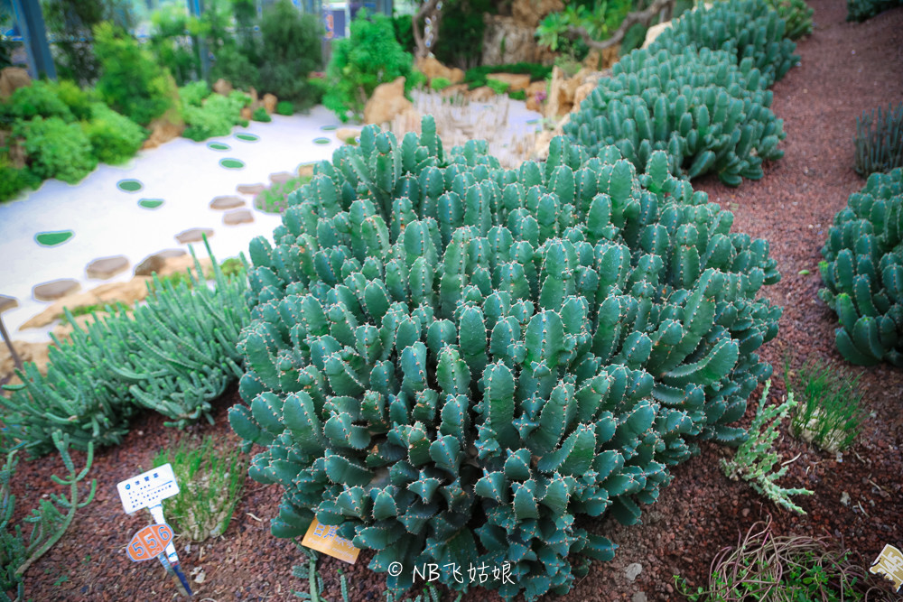 南通合适亲子游玩的园区,南通绿博园旁边游玩的地方