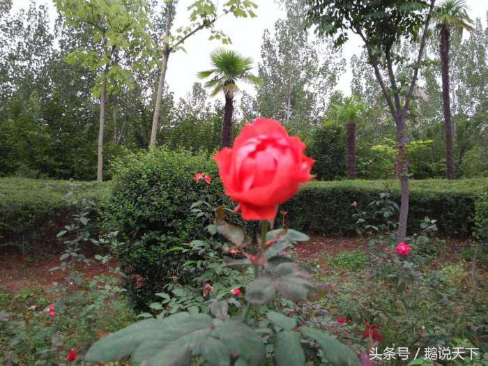 如何对付强迫症的思维,强迫症怎么做到顺其自然呢