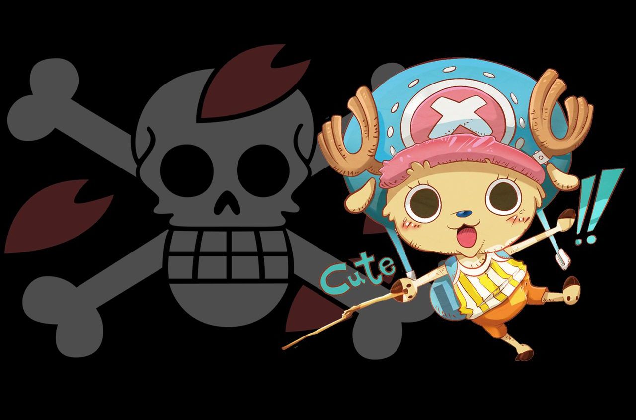 海贼王9人名字,海贼王九位成员是谁