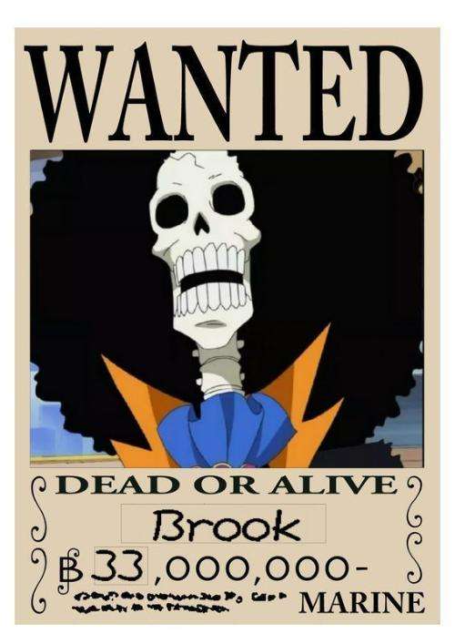 海贼王9人名字,海贼王九位成员是谁