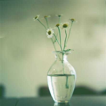 牵手一次能走到白头到老,牵手就能走到白头该多好