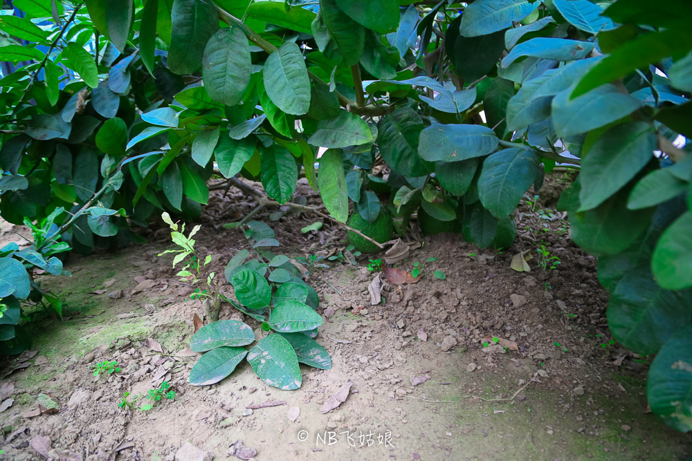 南通合适亲子游玩的园区,南通绿博园旁边游玩的地方