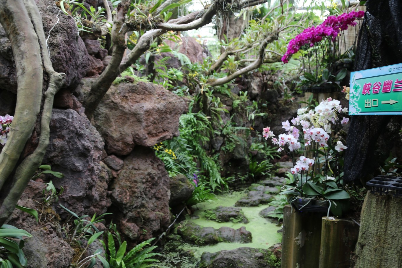 南通合适亲子游玩的园区,南通绿博园旁边游玩的地方