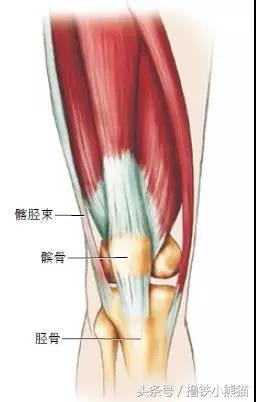 全方位解析，美国专业医生告诉你：膝关节损伤如何识别及自我治疗