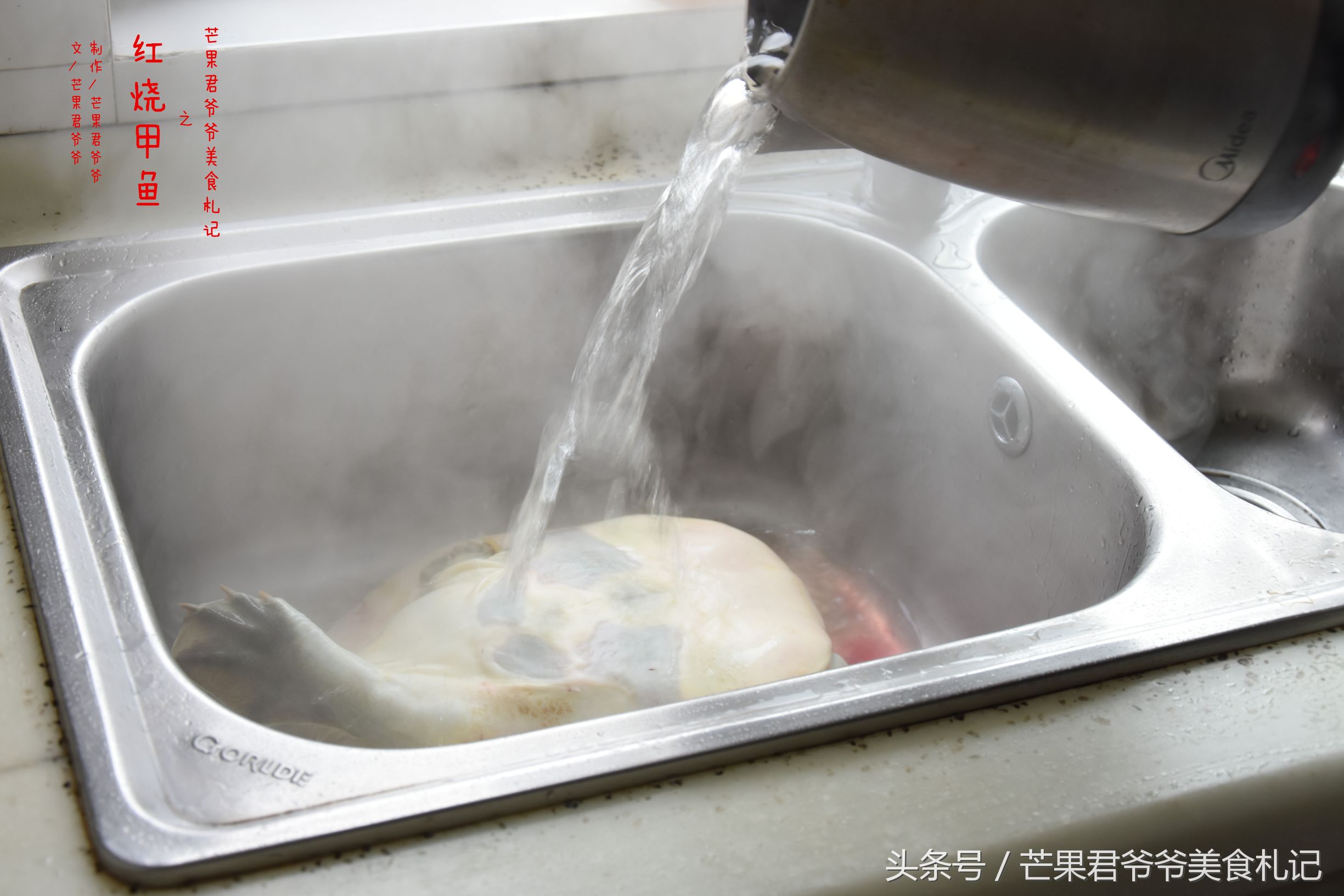 红烧甲鱼家常菜做法,闽菜红烧甲鱼最正宗的做法