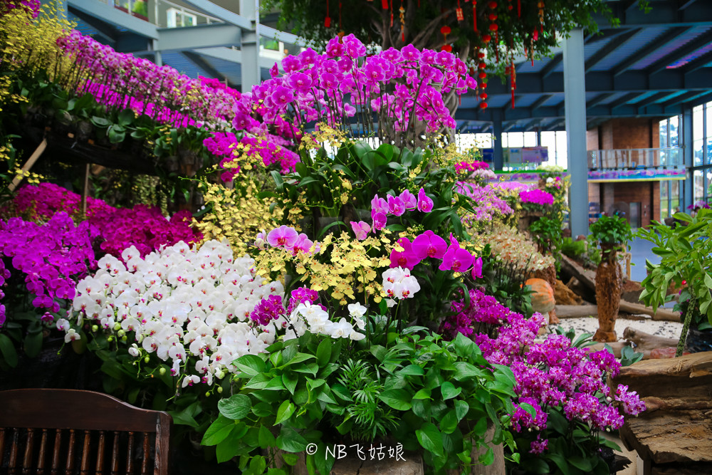 南通合适亲子游玩的园区,南通绿博园旁边游玩的地方