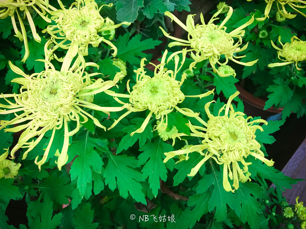 南通合适亲子游玩的园区,南通绿博园旁边游玩的地方