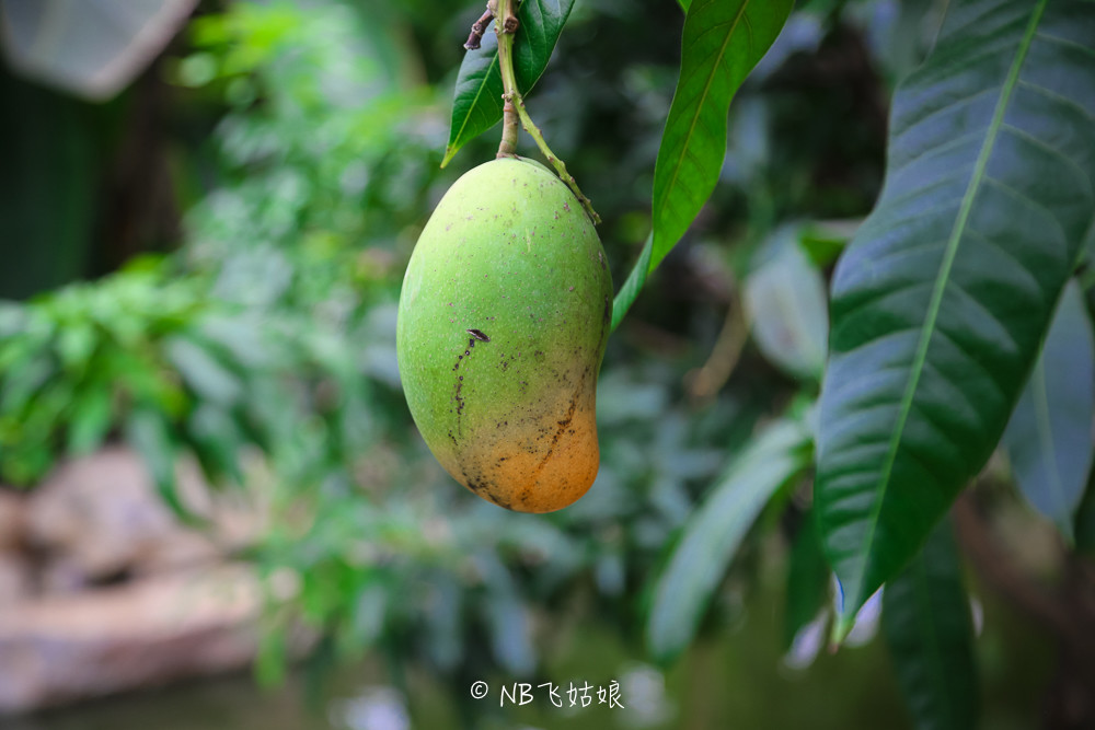 南通合适亲子游玩的园区,南通绿博园旁边游玩的地方