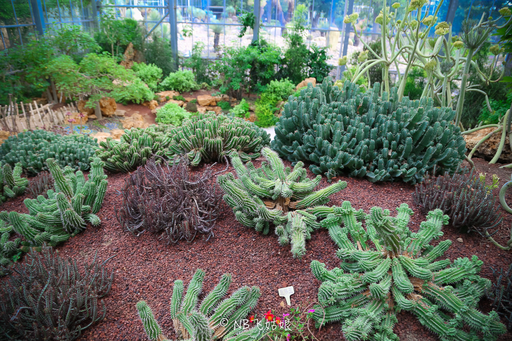 南通合适亲子游玩的园区,南通绿博园旁边游玩的地方