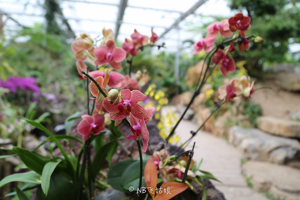 南通合适亲子游玩的园区,南通绿博园旁边游玩的地方