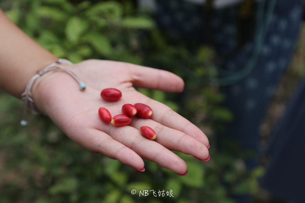 南通合适亲子游玩的园区,南通绿博园旁边游玩的地方