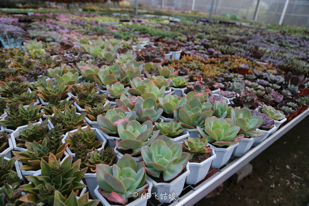 南通合适亲子游玩的园区,南通绿博园旁边游玩的地方