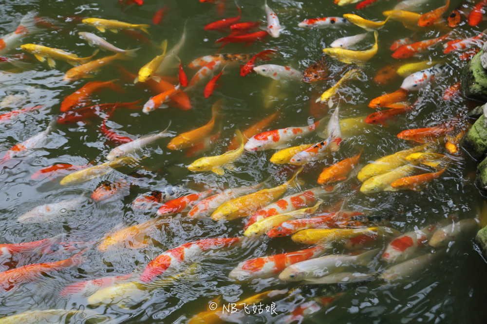 南通合适亲子游玩的园区,南通绿博园旁边游玩的地方