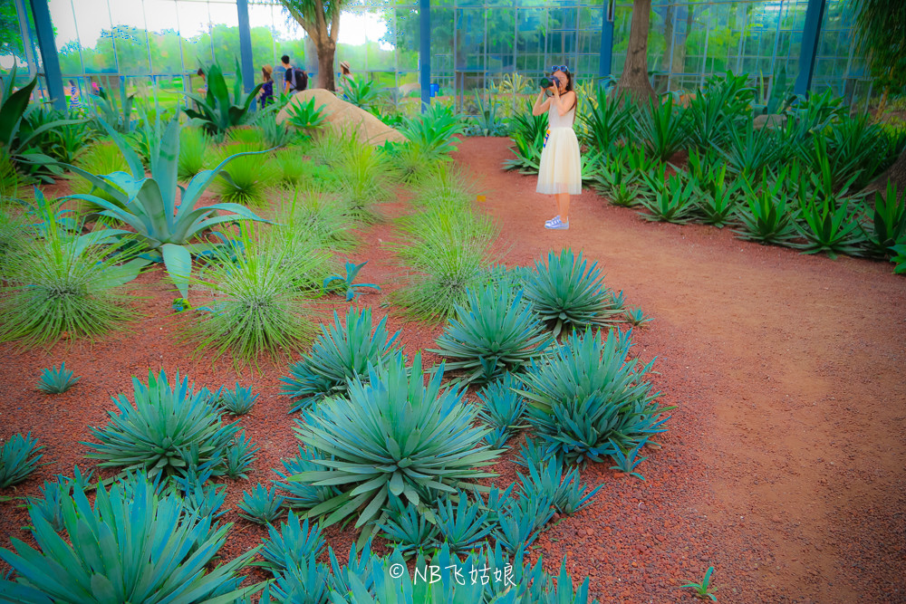 南通合适亲子游玩的园区,南通绿博园旁边游玩的地方