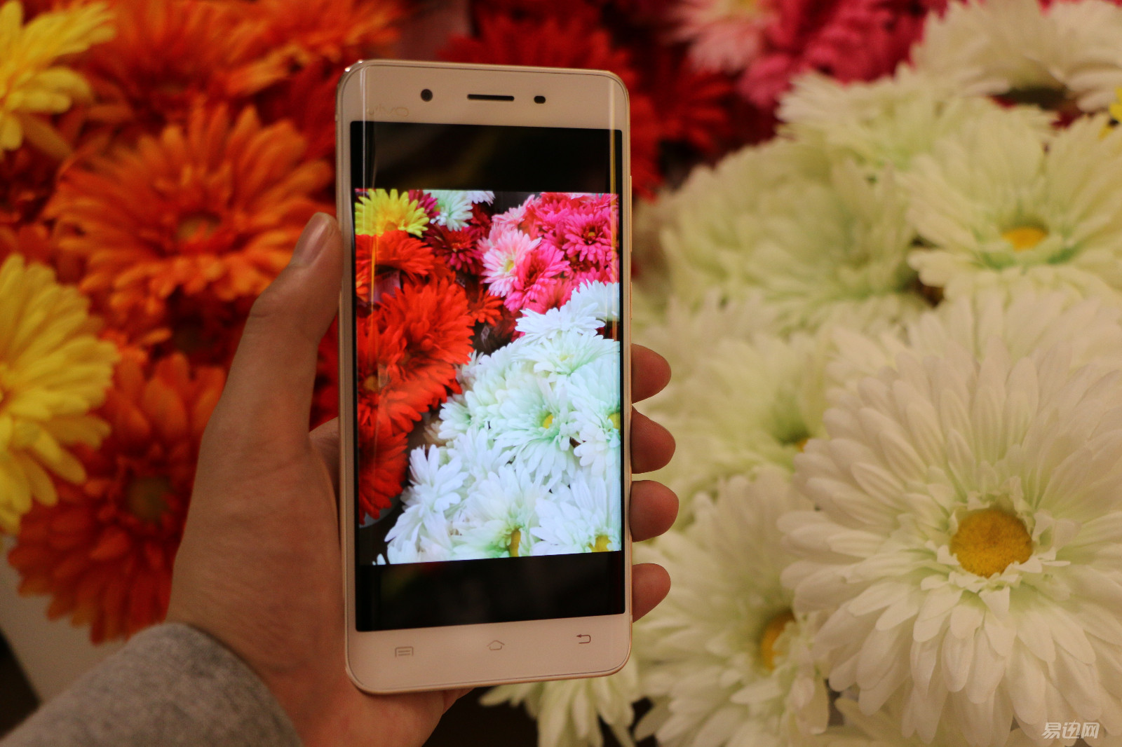 3698元买vivoxplay5值得吗,测评1699