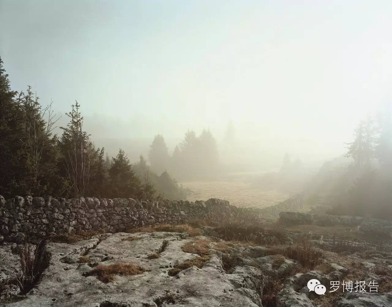 最不值得买的五个腕表品牌,十大最值得买的经典腕表品牌