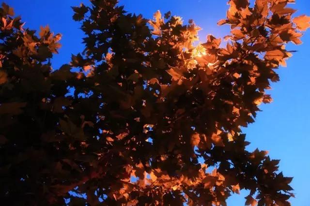 长安大学：一所最不应该被误解的实力大学