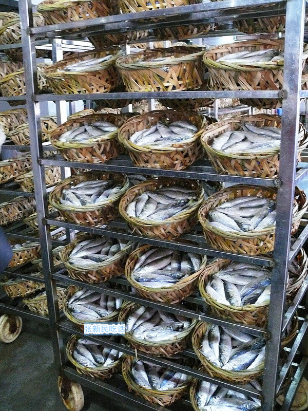 潮汕巴浪鱼和福建巴浪鱼的区别,巴浪鱼是不是淡水鱼