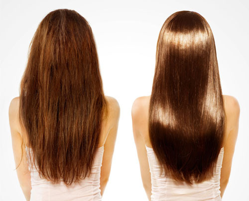 金毛狮王怎么护发,金毛狮王头怎么打理