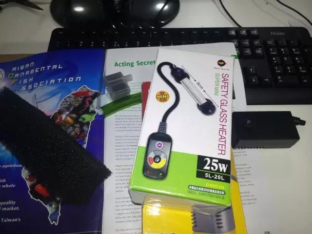 开缸的日记,开缸日记小鱼缸