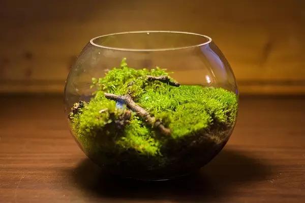 信息致富,致富信息