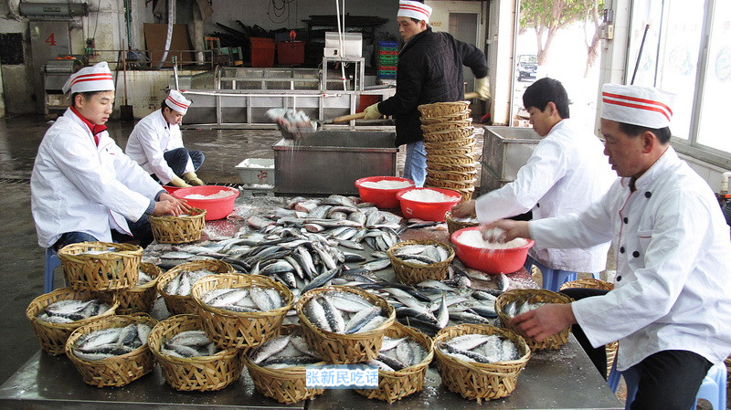 潮汕巴浪鱼和福建巴浪鱼的区别,巴浪鱼是不是淡水鱼