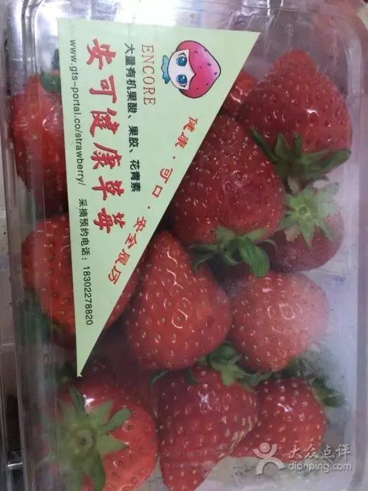 又到草莓时节,天津采摘草莓好又便宜的地方