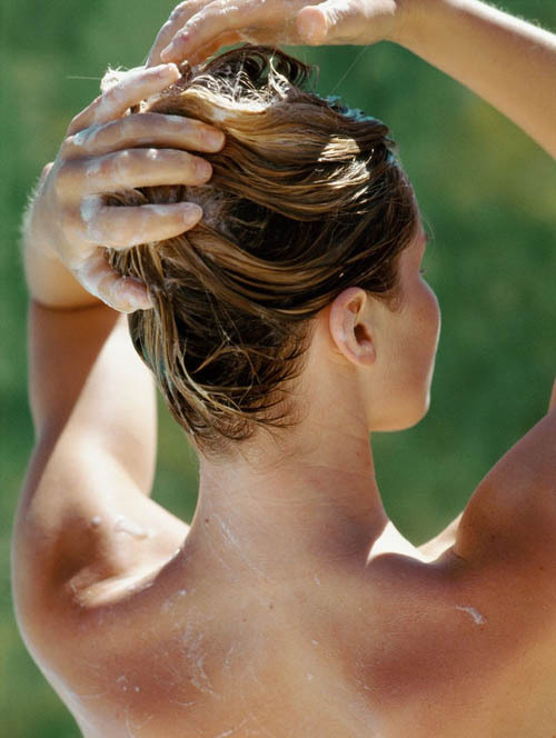 金毛狮王怎么护发,金毛狮王头怎么打理