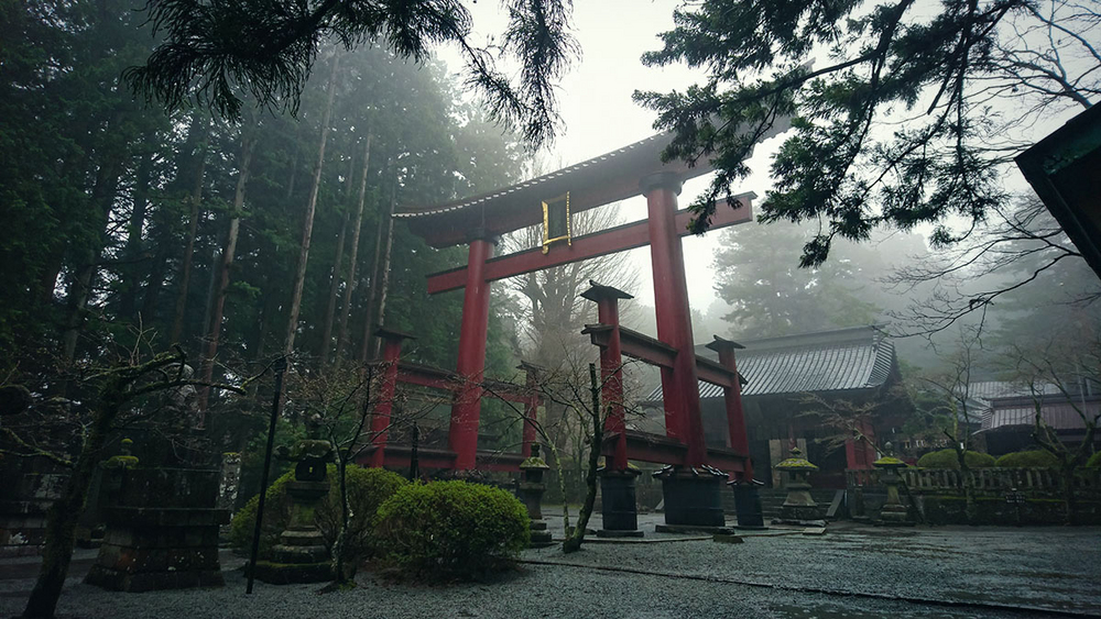 #与索尼为5#赏樱之旅之三：暴雨中方见机身防水之本色！