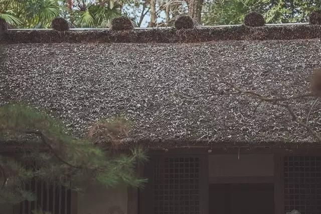 他在这里盖房子时，日本人还没学会唐风