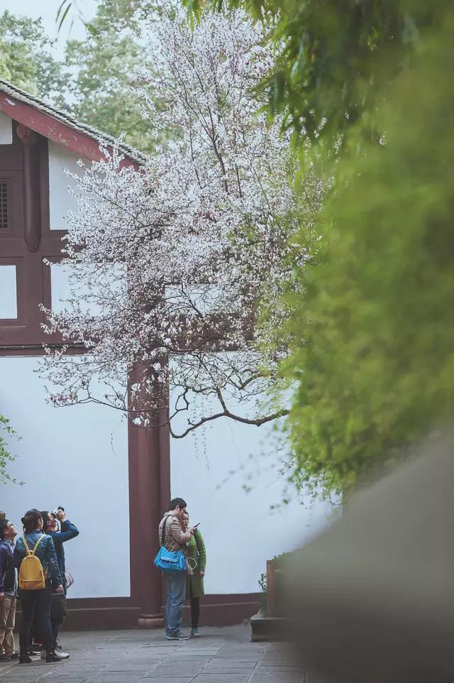 他在这里盖房子时，日本人还没学会唐风