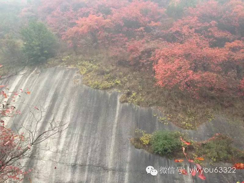 洛阳合适中学生好玩免费景点,洛阳各个景点的介绍