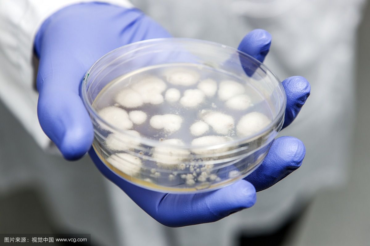 对人类贡献最大的药,青霉素的历史影响