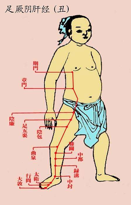 解读十四条经络走向和常用穴位,十四经络正确走向图