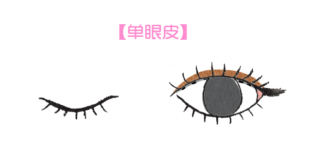 各种眼型合适的眼妆教程,倒三角眼妆合适哪种眼型