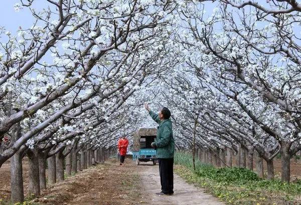 洛阳合适中学生好玩免费景点,洛阳各个景点的介绍