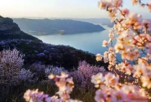 洛阳合适中学生好玩免费景点,洛阳各个景点的介绍