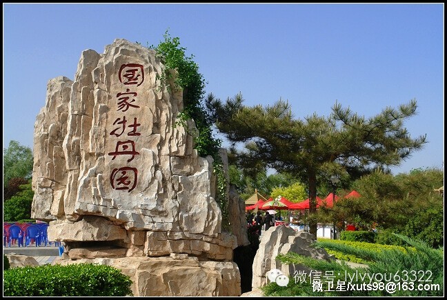 洛阳合适中学生好玩免费景点,洛阳各个景点的介绍